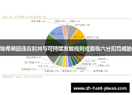 埃弗顿因违反利润与可持续发展规则或面临六分扣罚威胁 埃弗顿因违反利润与可持续发展规则或面临六分扣罚威胁